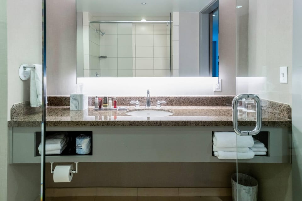 Hair dryer, towels, shampoo, toilet paper