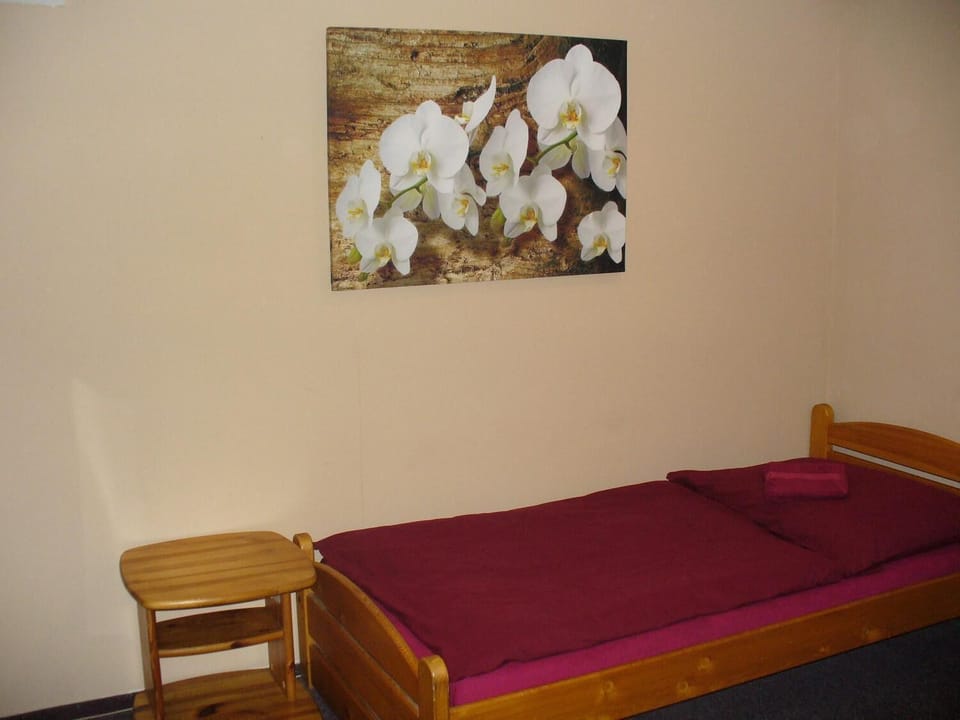 Blackout drapes, iron/ironing board, free WiFi, bed sheets