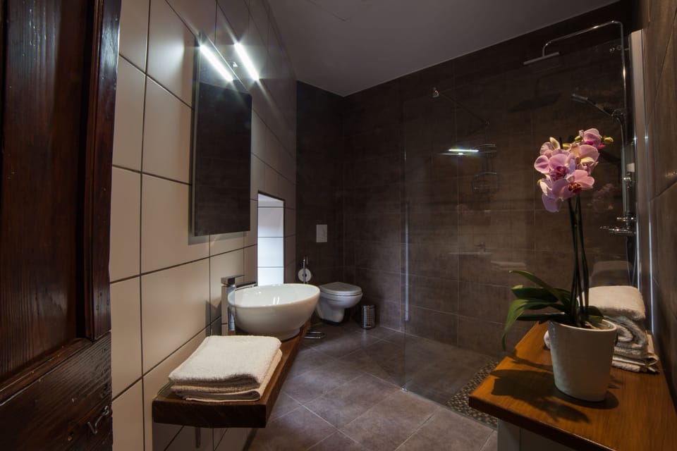 Domaine de Palatz Bed and Breakfast in Occitanie