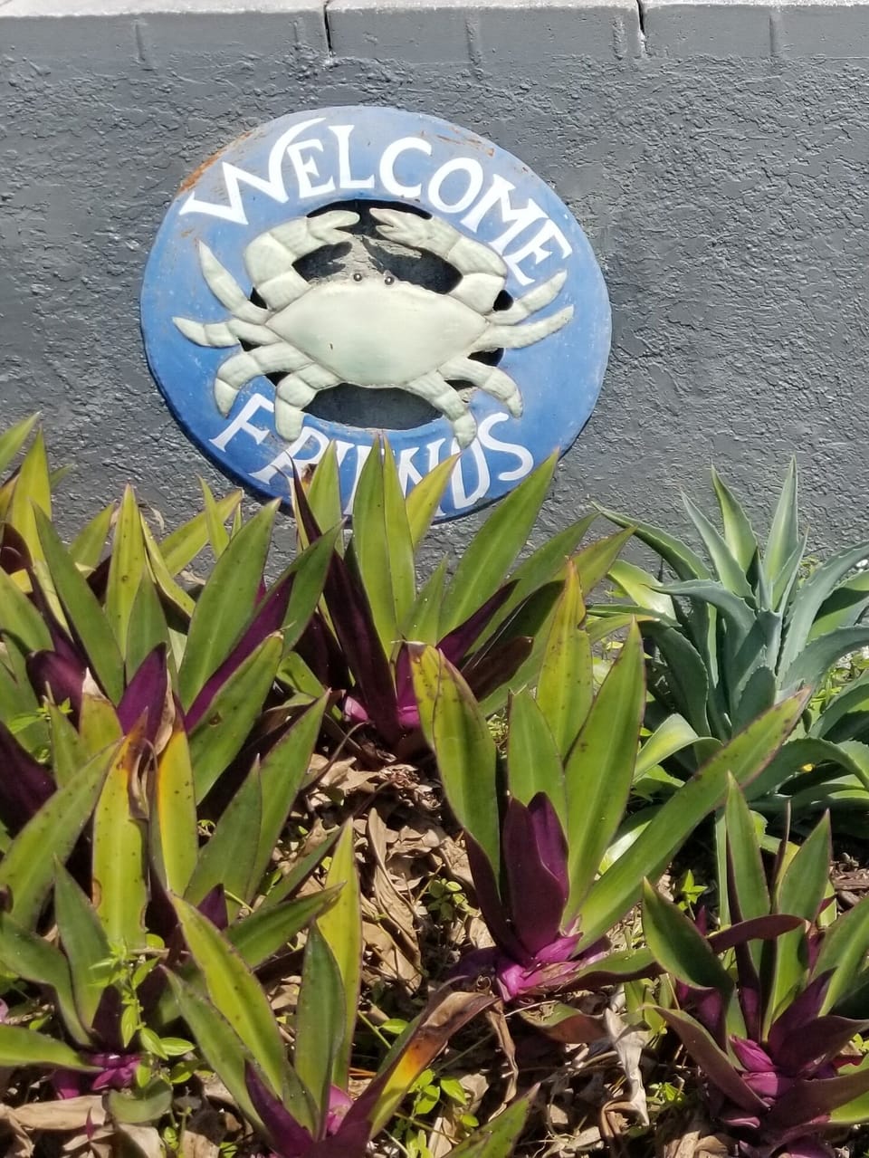 Welcome Friends! 