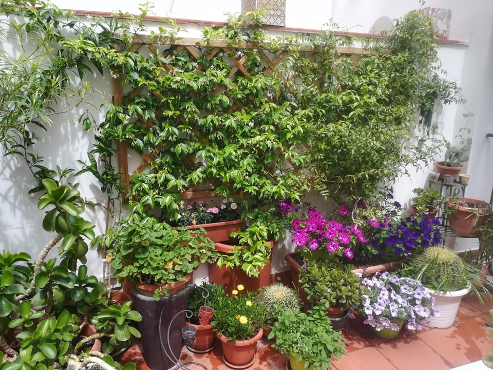 Terrazza