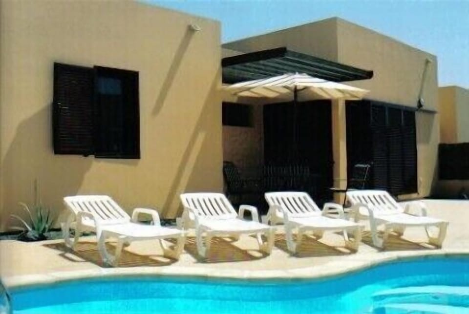 Back Garden