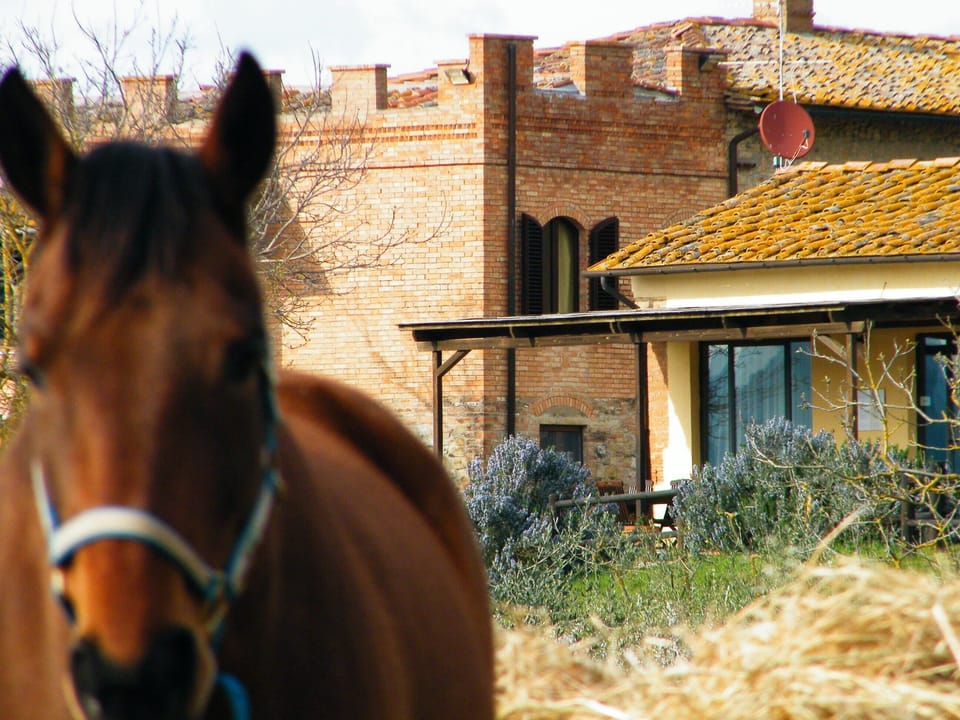 MONTEGONFOLI 2 Apartment in countryside of San Gimignano with amazing views 4+2 Farm Stay in Tuscany