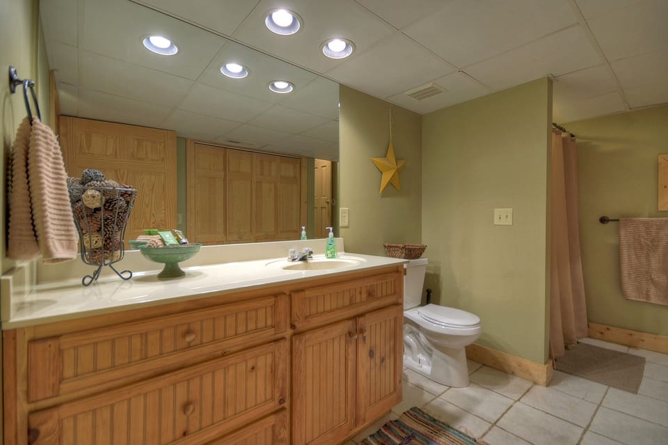 Terrace level bathroom 