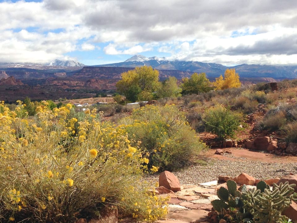 back porch view in fall months.