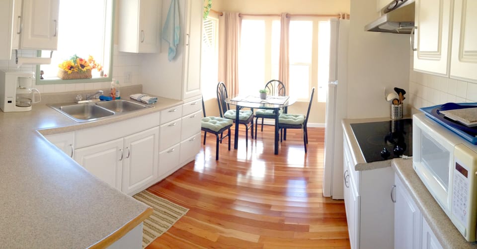 Bright sunny kitchen