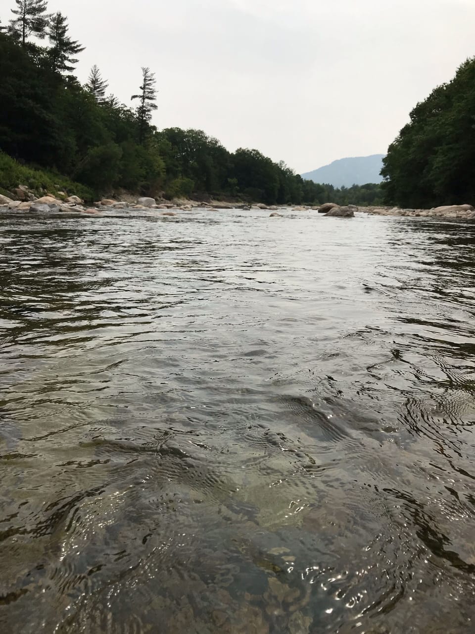 Summer fun! Bring your tubes & water shoes! 