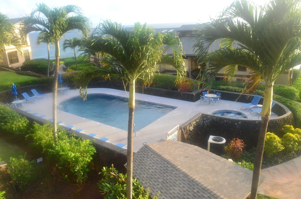 Salt water pool,  relaxing deck and spa.