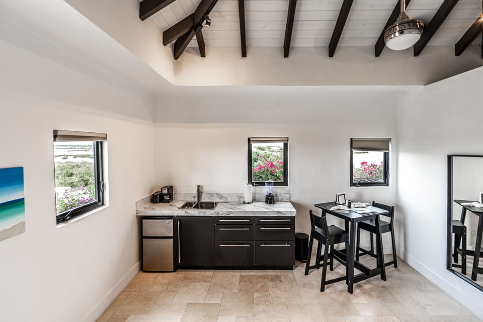 2nd bedroom with separate entrance, wet bar and hightop with 2 barstools