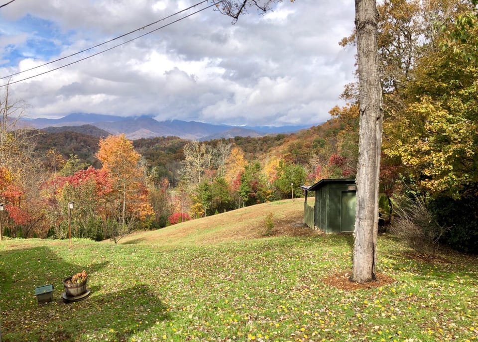 FALL EXPLODES IN A VIEW OF RED ORANGE AND BROWN!