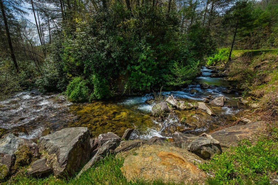 Gumbottom Creek, which merges with the Thompson River on the property.