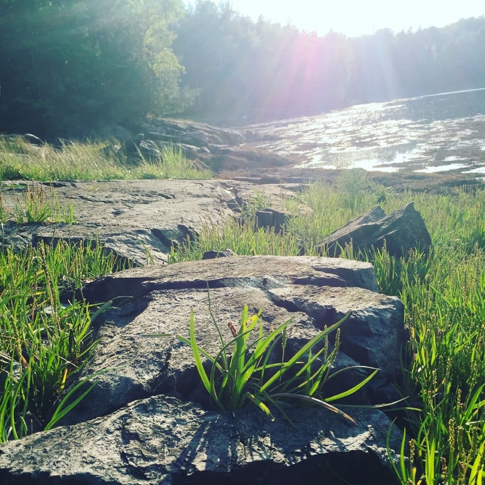 Enjoy the sights and sounds of coastal Maine down on the rocky shoreline