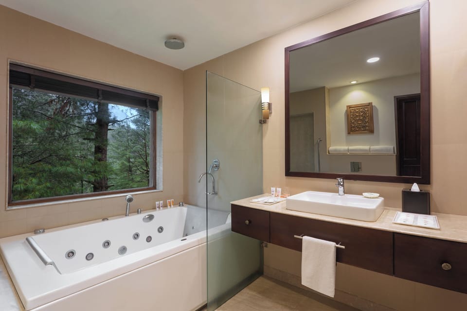 Shower, free toiletries, hair dryer, towels