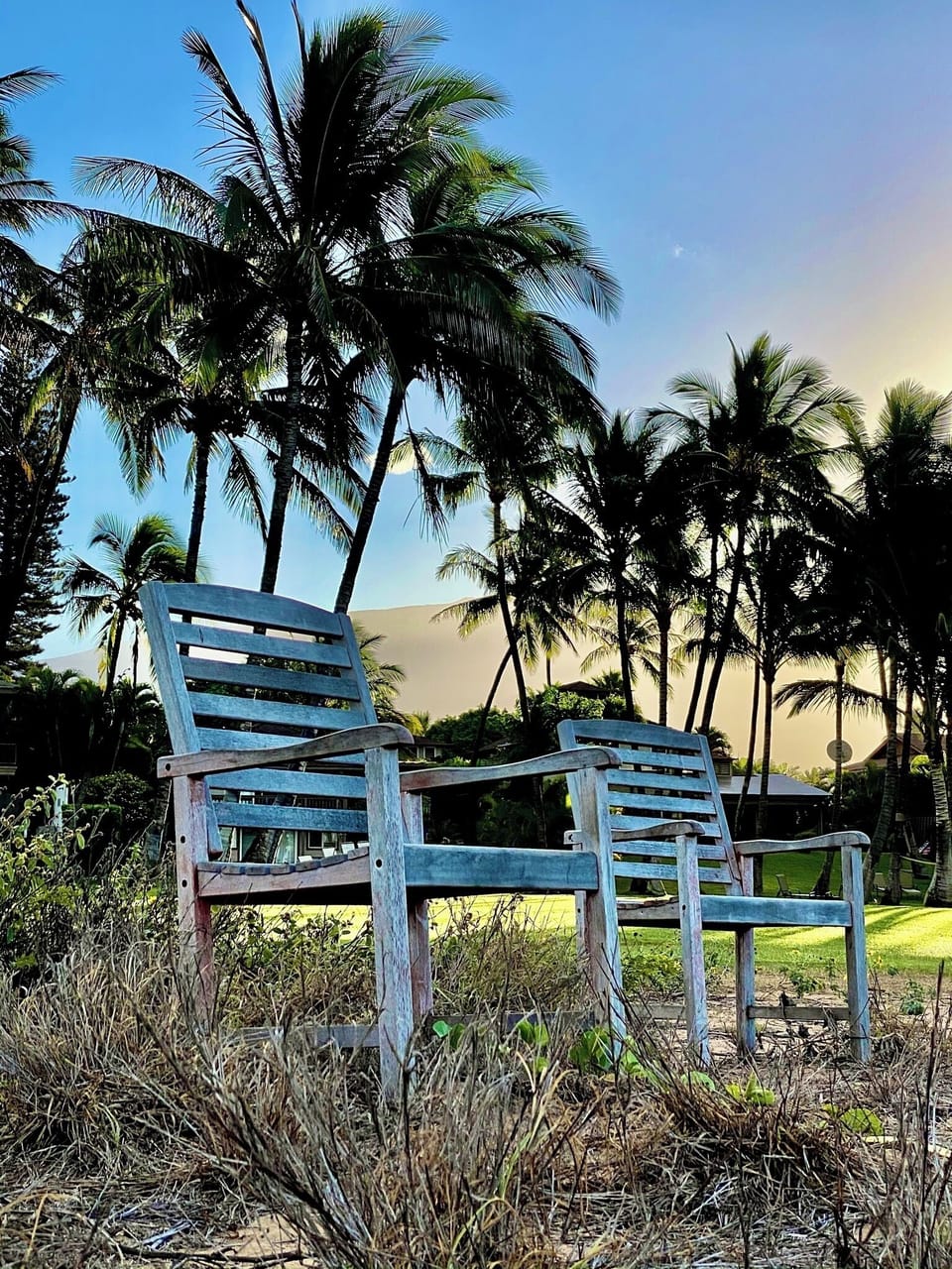 Kick back and relax!