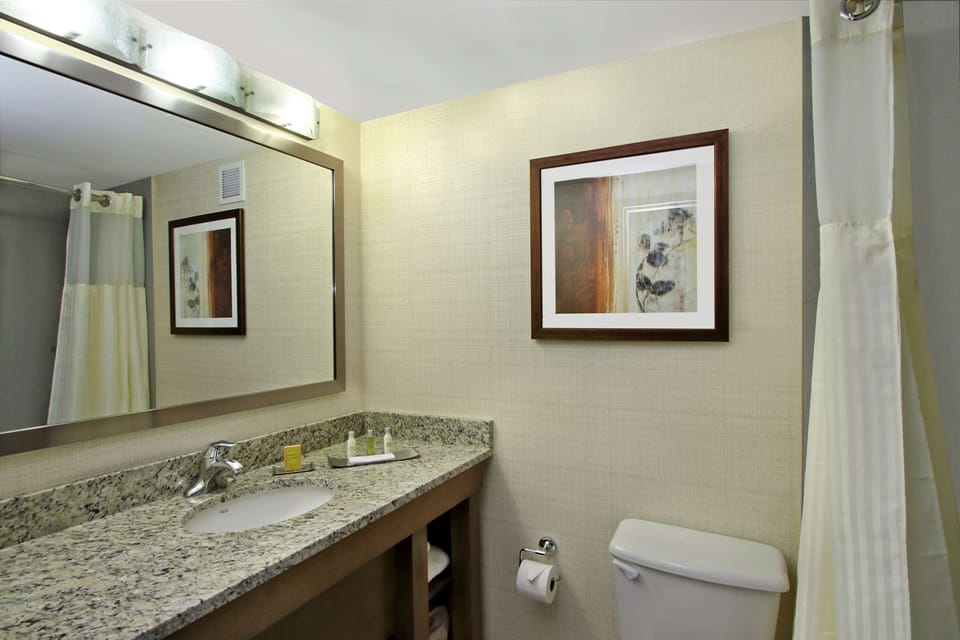 Combined shower/tub, free toiletries, hair dryer, towels