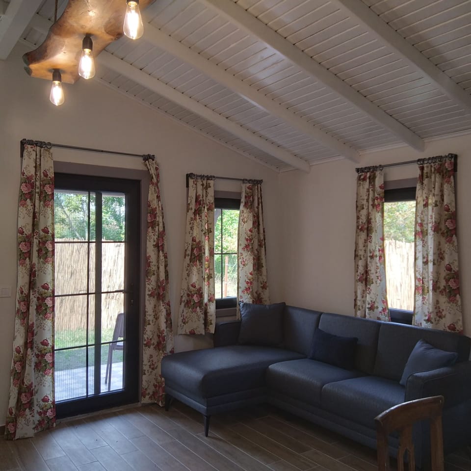 Family Bungalow | Living area | 120-cm LCD TV with satellite channels, TV