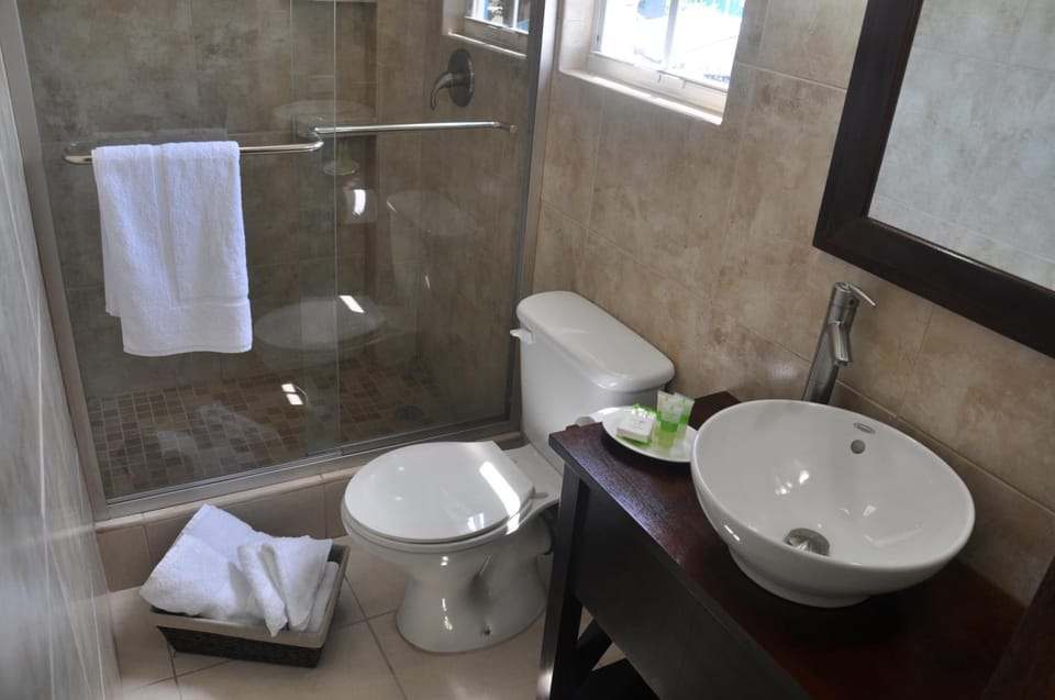 Shower, free toiletries, hair dryer, towels