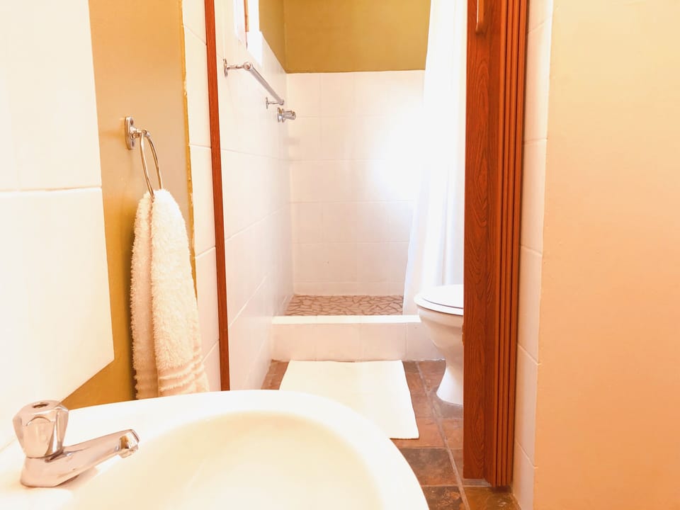 Standard Double or Twin Room, 1 Bedroom, Refrigerator & Microwave | Bathroom | Shower, free toiletries, towels, soap