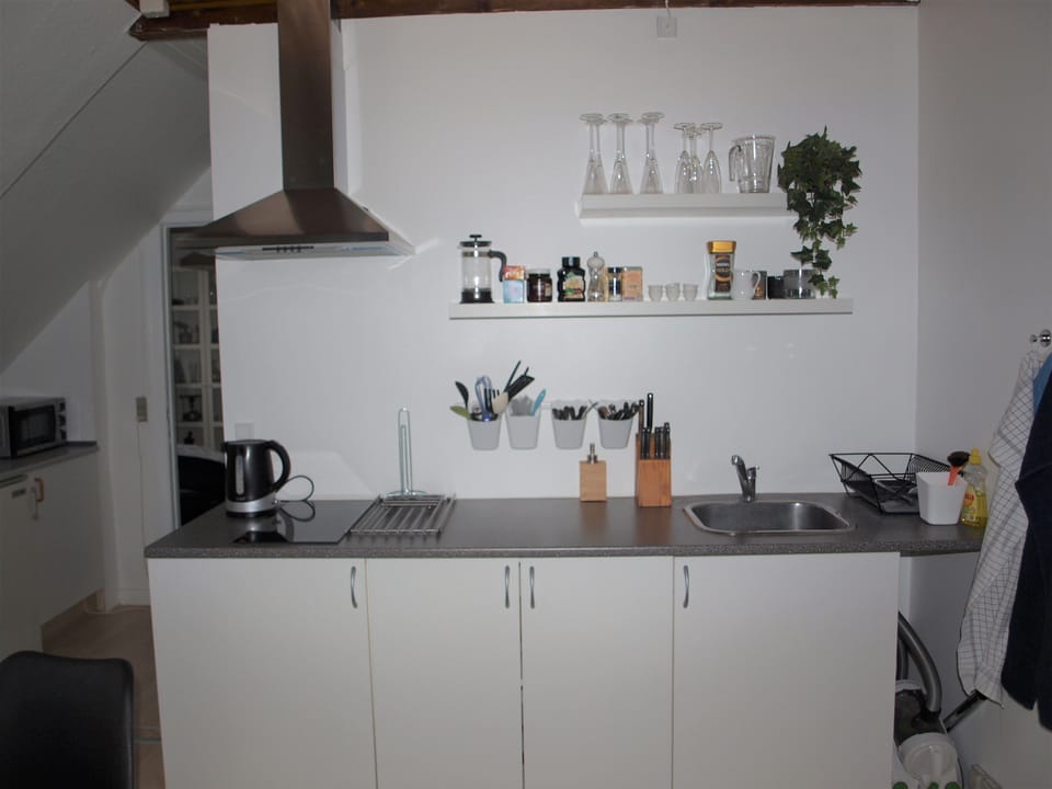 Apartment 3 | Private kitchenette | Fridge, microwave, electric kettle, cookware/dishes/utensils