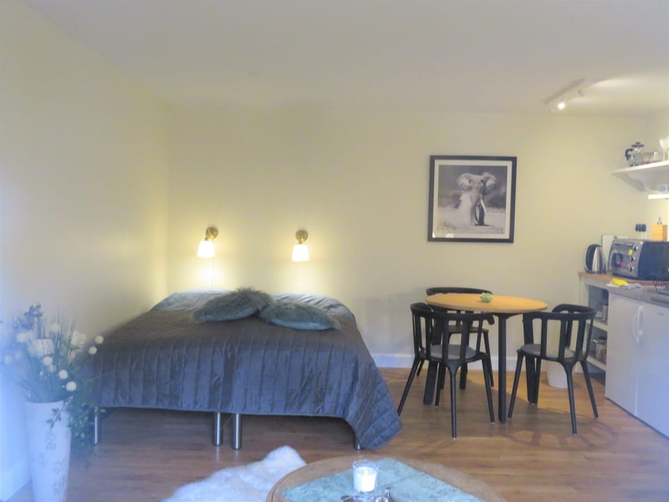 Apartment 1 | Iron/ironing board, free WiFi