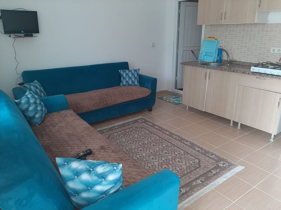 Standard Apartment | Living room | LCD TV