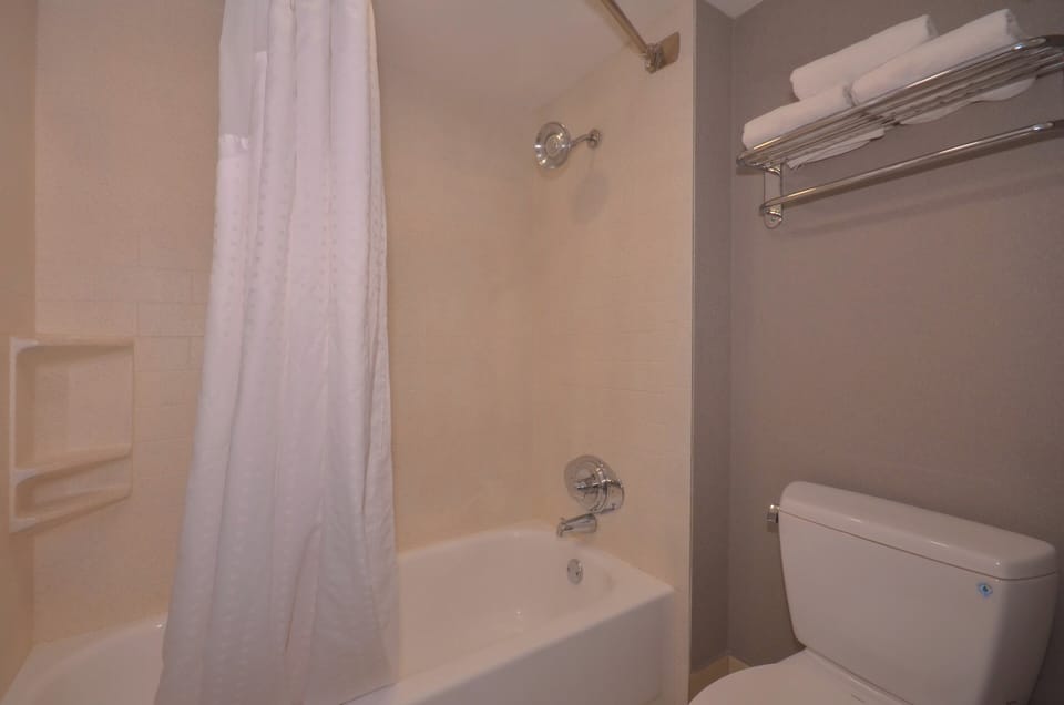 Bathtub, hair dryer, towels