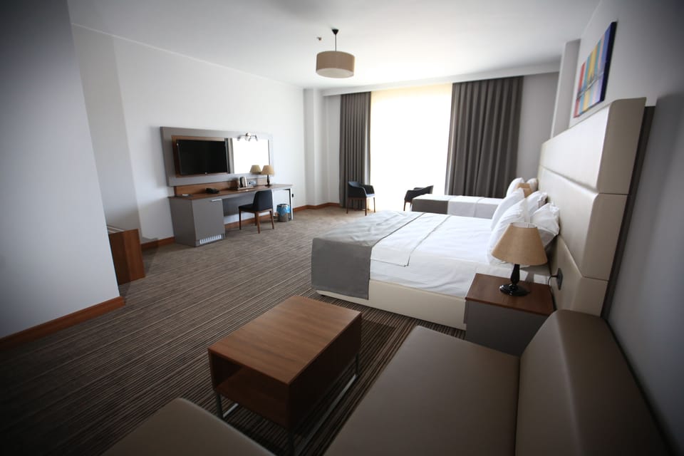 Standard Twin Room | Minibar, in-room safe, desk, iron/ironing board