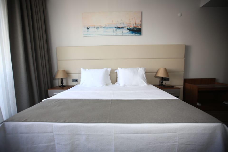 Standard Double Room Single Use | Minibar, in-room safe, desk, iron/ironing board