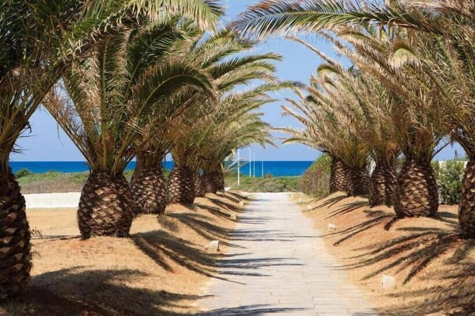 Private beach, sun loungers, beach umbrellas