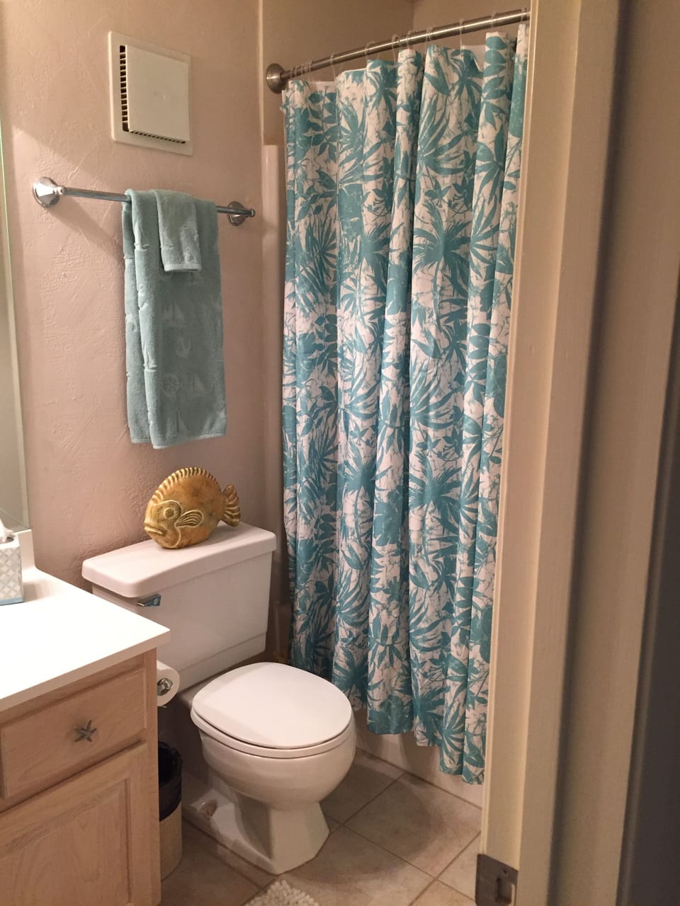 Master bath with tub shower combination