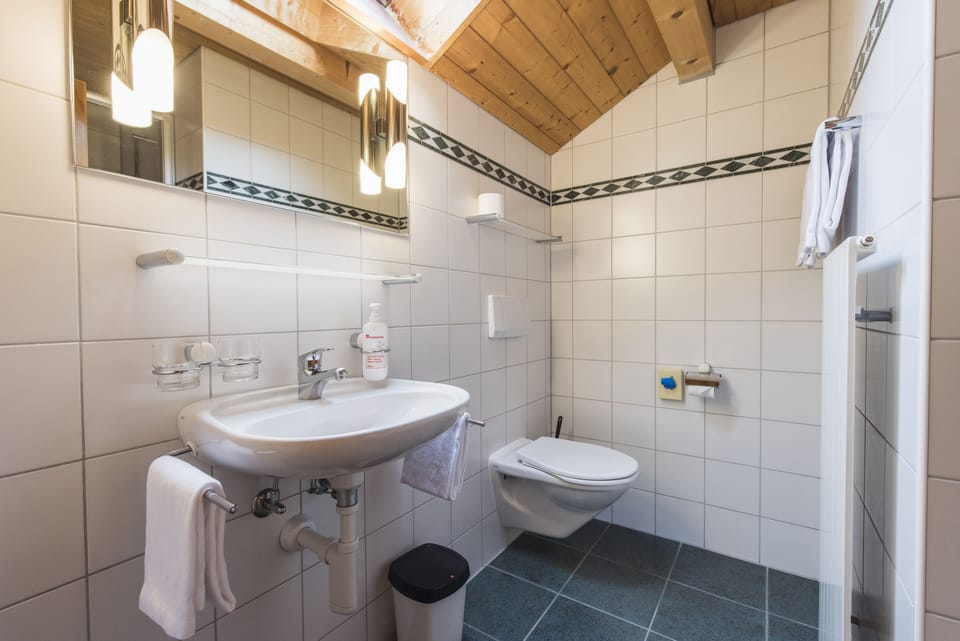 Double Room | Bathroom | Shower, free toiletries, hair dryer, towels