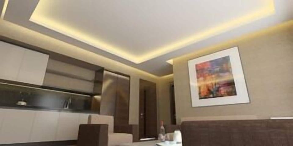 55-inch LED TV with satellite channels, TV
