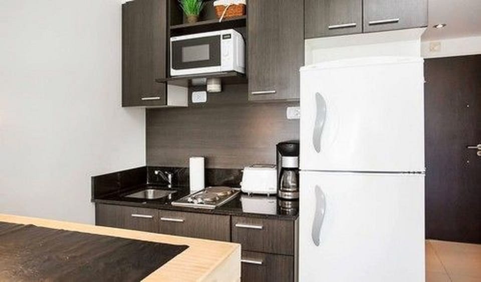 Studio | Private kitchen | Full-size fridge, microwave, stovetop, coffee/tea maker