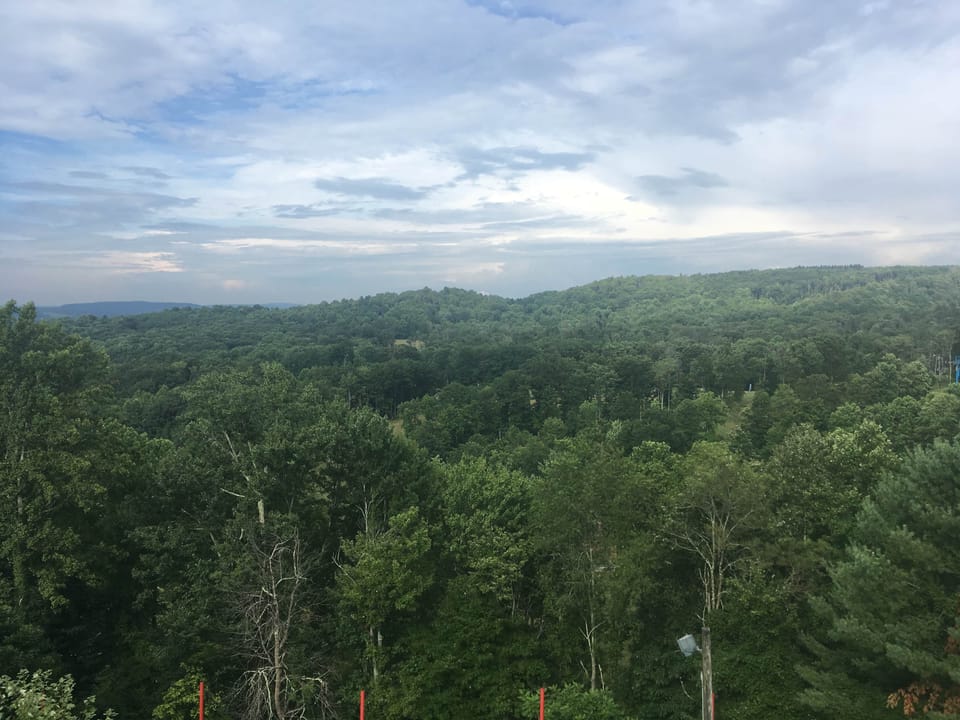 Summer view