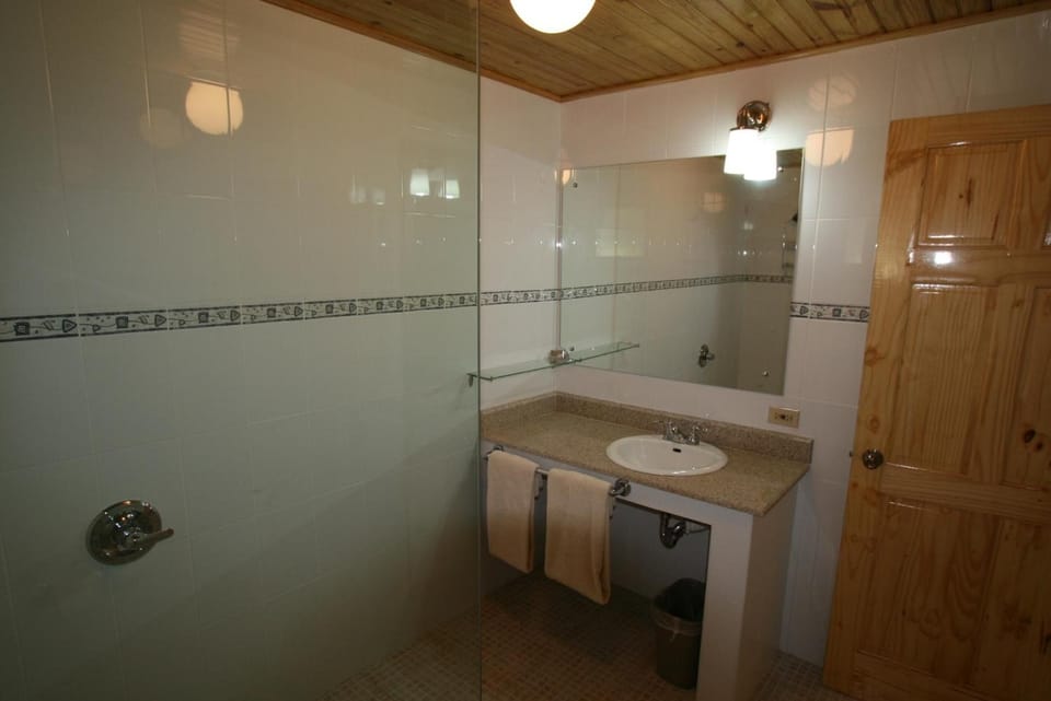 Shower, free toiletries, towels