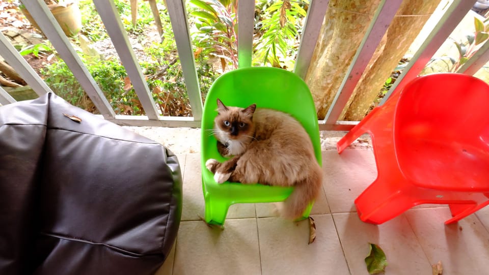 Patty's Secret Garden Bed and Breakfast in Sala Dan