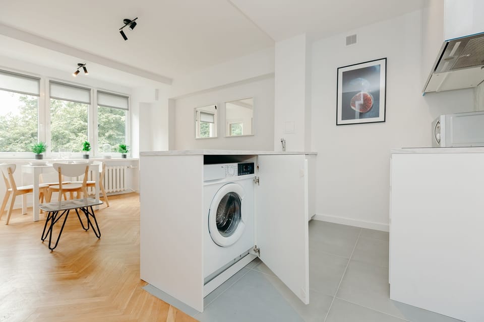 Apartment, 1 Bedroom, Non Smoking, City View | Laundry
