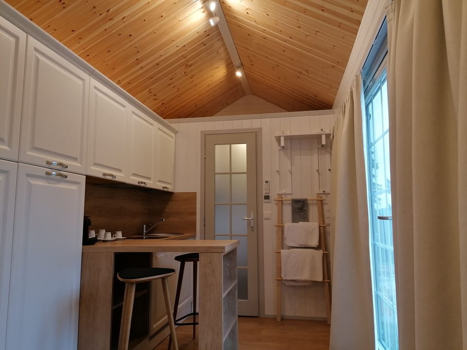Panoramic Cabin, Garden View, Annex Building | Free minibar, in-room safe, desk, laptop workspace