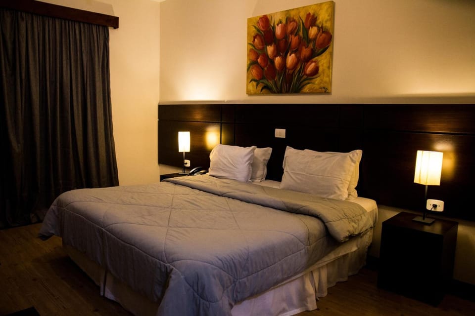 Minibar, desk, blackout drapes, free WiFi