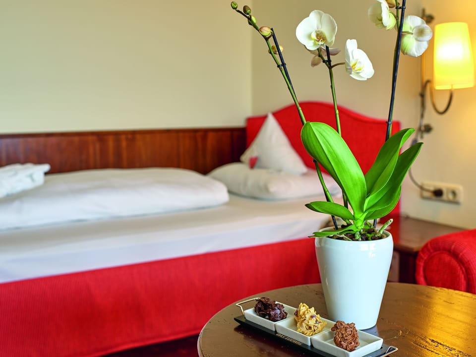 Comfort Single Room | Room amenity