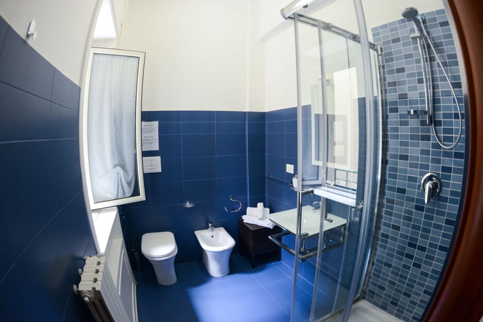 Deluxe Room, 1 Bedroom, Smoking, Private Bathroom | Bathroom | Shower, free toiletries, hair dryer, bidet