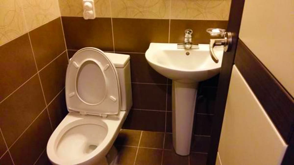 Shower, free toiletries, hair dryer, slippers