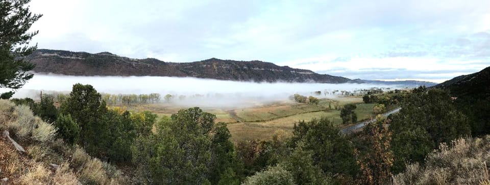 View northwest from house towards Ridgway, October