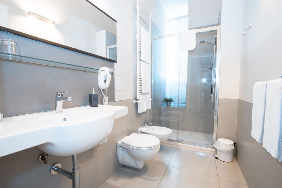 Standard Double Room, 1 King Bed | Bathroom | Shower, hair dryer, bidet, towels