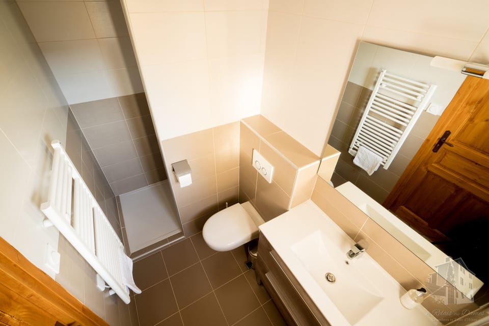 Chambre Double | Bathroom | Shower, free toiletries, hair dryer, towels