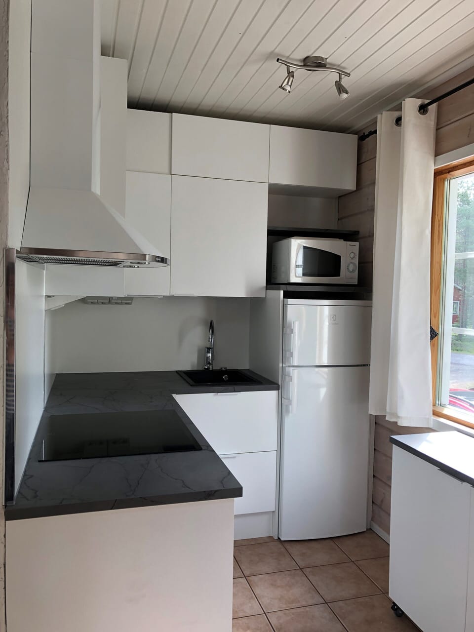 Family Apartment, 2 Bedrooms, Sauna, Mountain View | Private kitchenette | Full-size fridge, microwave, oven, stovetop