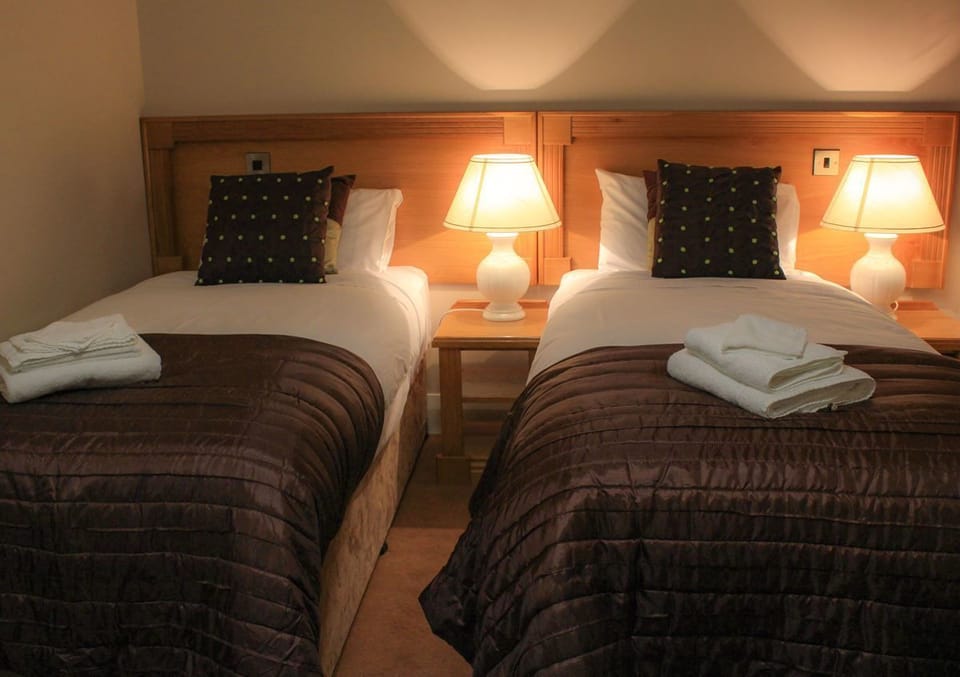 Deluxe Twin Room | Iron/ironing board, free WiFi, bed sheets