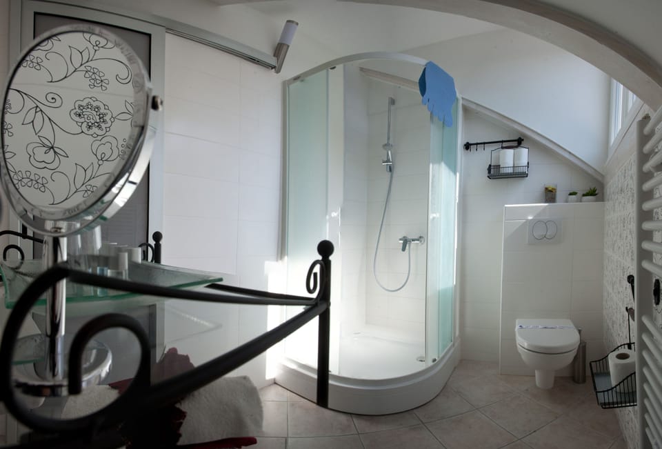 Superior Double or Twin Room (Cherry ) | Bathroom | Shower, free toiletries, towels