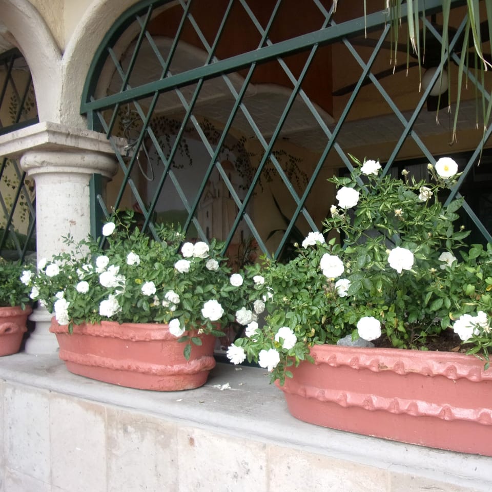 Suite 1, Queen Bed separate kitchen and living room | Terrace/patio