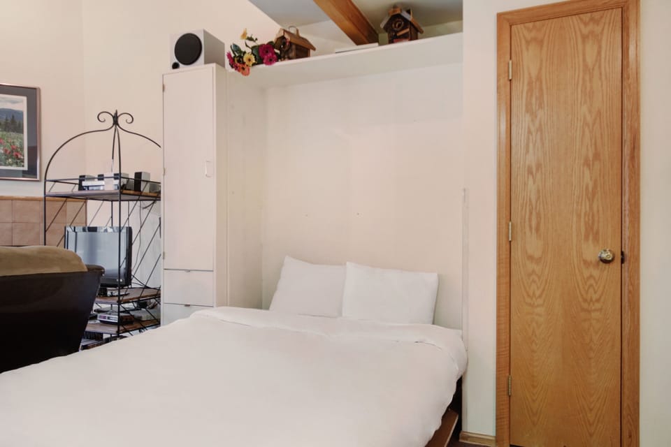 Studio | 1 bedroom, iron/ironing board, cribs/infant beds, free WiFi